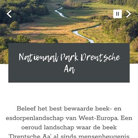 Guesthouse Vakantiehuis In Een Mooie Tuin In Het Centrum Van Zuidlaren! Bagian luar foto