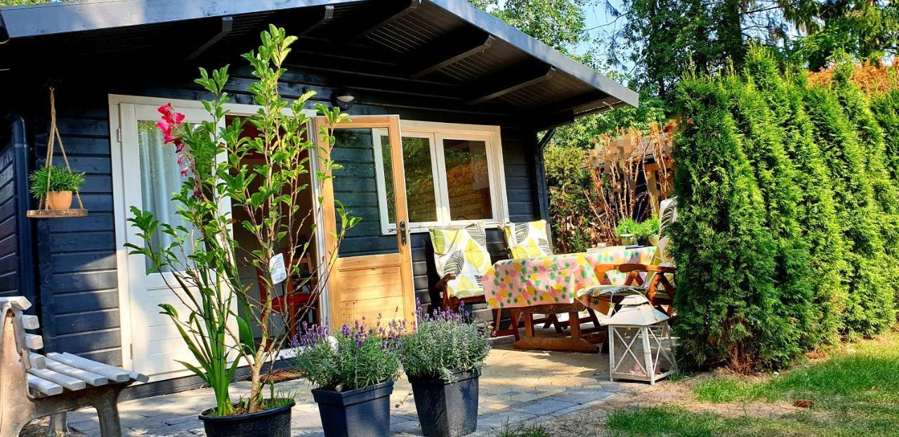 Guesthouse Vakantiehuis In Een Mooie Tuin In Het Centrum Van Zuidlaren! Bagian luar foto