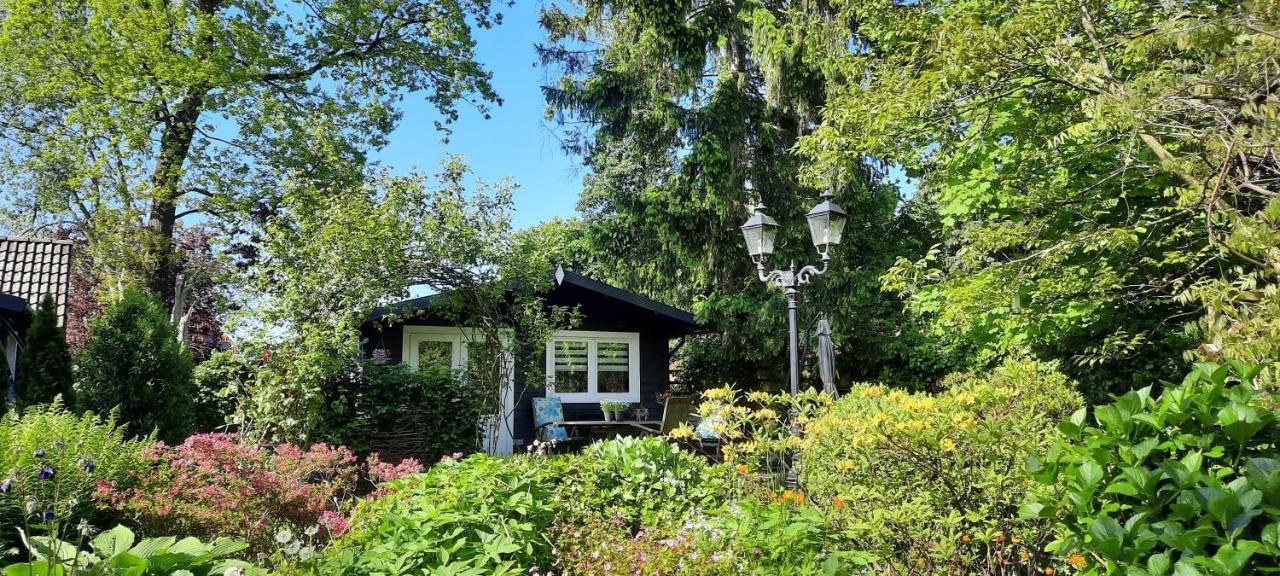 Guesthouse Vakantiehuis In Een Mooie Tuin In Het Centrum Van Zuidlaren! Bagian luar foto