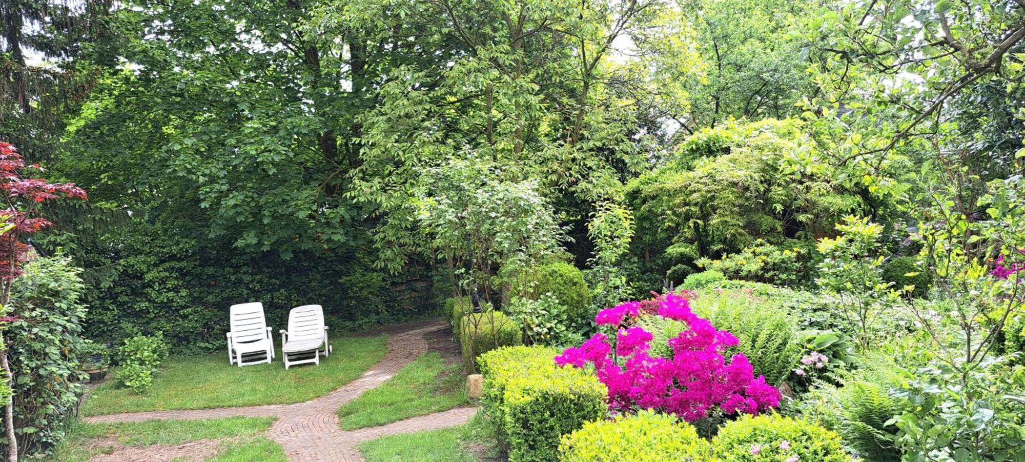 Guesthouse Vakantiehuis In Een Mooie Tuin In Het Centrum Van Zuidlaren! Bagian luar foto