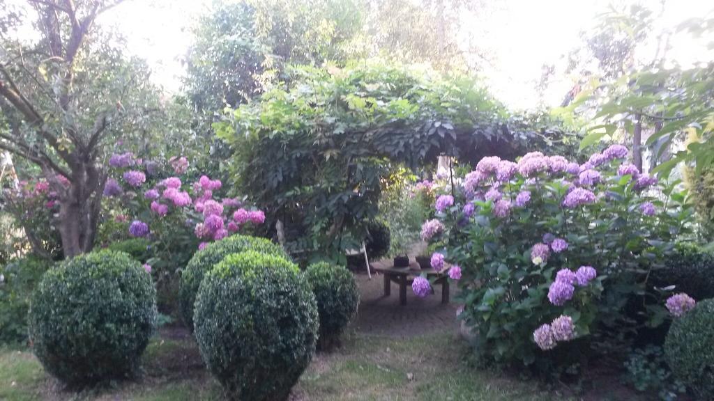 Guesthouse Vakantiehuis In Een Mooie Tuin In Het Centrum Van Zuidlaren! Bagian luar foto